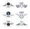 Set of luxury wings emblems
