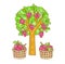 Set Lychee Tree on Background Vector.
