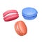 Set of Macarons. Realistic Tasty Colourful French Macaroons. Isolated on white background, Vector Illustration