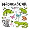 Set of Madagascar animals. Hand drawn vector illustration