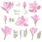 Set of magnolia flowers for gift cards