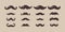 Set male mustache.