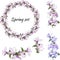 Set of Malva sylvestris flowers on a white background. Floral wreath of delicate purple and pink flowers to decorate cards,
