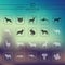 Set of mammals icons