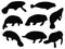 Set of manatee silhouette vector art on a white background