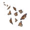 Set of many flying fragile monarch butterflies on background