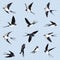 Set of many simple swallows