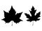 Set of maple leaf silhouette vector art on white background