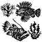 Set of marine or aquarium decorative fish in black with various patterns. A collection of inhabitants of the underwater world