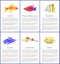 Set of Marine and Domestic Fishes Color Banners