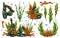 A set of marine elements and compositions of tropical fish, corals, algae and stones. Underwater world, digital illustration. For