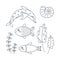 Set of marine elements of fish, shells, algae, dolphin in flat cartoon style. Line art