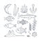 Set of marine elements seaweed, seashell, octopus, dolphin, fish, stingray, seahorse. Line art