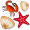 Set of marine inhabitants. Crab, starfish and shell. White background. objects