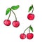 Set of merry cherry berries with leaves. Pair of ripe vinous cherries painted on a white background with black outline.