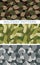 Set of military camouflage texture. Army pattern of dumplings. M