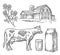 Set Milk farm. Cow head, clover, box carton package glass