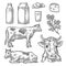 Set Milk farm. Cow head, clover, box carton package, glass and bottle.