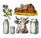 Set Milk farm. Cow head, clover, box carton package, glass and bottle.