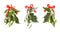 Set with mistletoe bunches on white background. Traditional Christmas decor