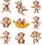 Set of monkey cartoon different poses