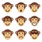 Set of monkey emoticons. Funny monkey show different emotions.