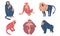 Set of monkeys of different kinds vector illustration