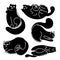 Set of monochrome abstract fat cats. Sleeping and resting black kittens with outline drawing.Vector print of pets
