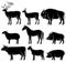 Set of monochrome wild and domestic animals