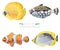 Set Of Mosaic Tropical Fish Isolated On A White Background.