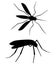 Set of mosquito silhouettes isolated on white background. Vector mosquito silhouettes. Aegypti flying mosquito. Zika virus transmi