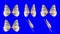 A set of Moth Wings Waving in Different Speed and Angles on a Blue Screen Background