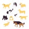 Set of multiple breed walking and sitting dogs, corgi, retriever, shepherd, terrier, spaniel, chihuahua, pomeranian