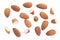 Set of multiple different dried Almonds, Almonds isolated on white background with clipping paths.