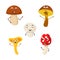 A set of mushroom characters.