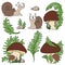 Set mushroom edible porcini and surprised snail sketch black outline different elements isolated