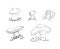 Set of mushrooms: champignon, porcini, greasers, suillellus, boletus, russule, russulacea, amanita, death cap. Vector