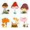 Set of mushrooms illustrations and icons. Colorful nature. Fungi. Idea for decors, autumn holidays, environment themes.