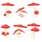 Set of mushrooms toadstools. forest plants, mushrooms