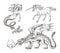 Set of Mythological animals. Mermaid Unicorn Chinese dragon Basilisk Woman. Greek creatures. Engraved hand drawn antique