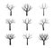 Set naked Trees. Vector outline Illustration. Plant in Garden. EPS file