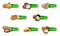 Set of named icons nuts. Logo set Vector labels with walnut, coconut, nutmeg, hazelnut, pecan, almond, peanut, macadamia