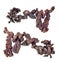 Set of native copper nuggets cutout on white