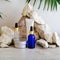 Set natural beauty cosmetic skincare products with palm leaf plant on stone pedestal, rock pile balancing stones gray