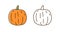 Set of natural colorful and outline monochrome pumpkin vector illustration. Seasonal autumn squash with design elements