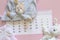Set of newborn accessories in anticipation of  child - calendar with circled number 24 twenty four, baby clothes, toys on pink