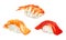 Set of nigiri sushi with with tuna, salmon and tiger shrimp, isolated on white background, watercolor