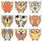 Set of nine funny owls in oval forms