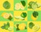Set of nine lime and lemon on a checkered background.