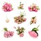 A set of nine photos of flowers in white and pink colors: armfuls of roses, peonies, hydrangea branch, buttonholes with roses